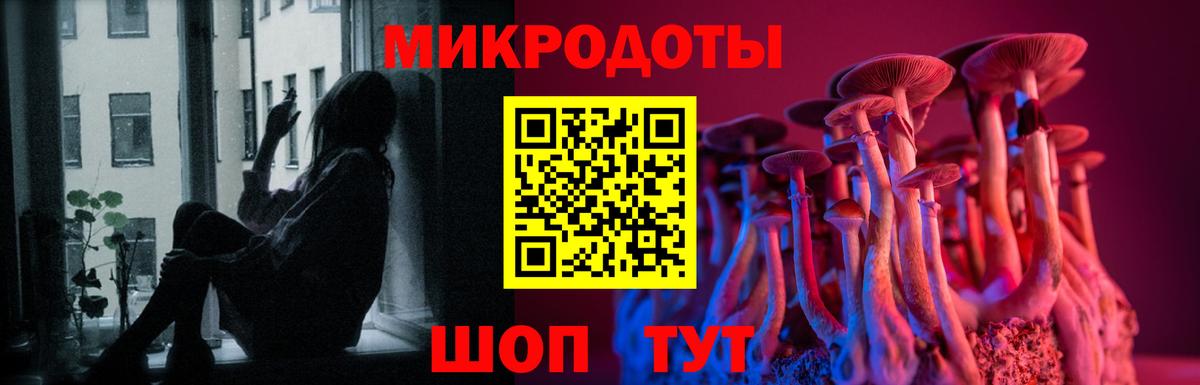 Анжеро-Судженск  Псилоцибиновые грибы мицелий  Псилоцибиновые грибы Psilocybe  Вход с VPN 